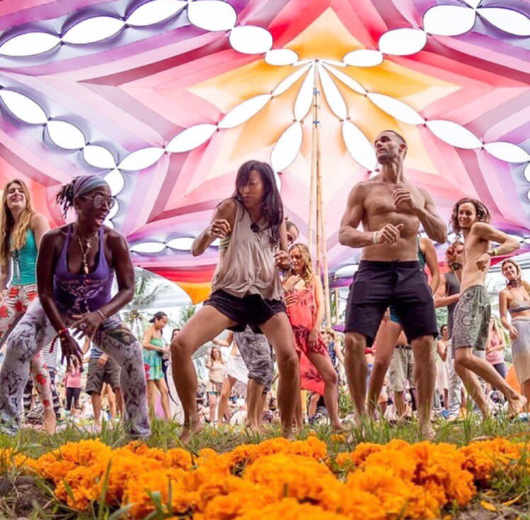 Lynder Shade Structure package 60ft x 60ft - Orange Red Purple