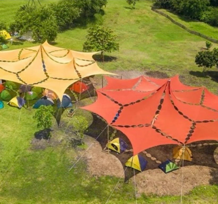 SALE PRICE Straight shooters Diamond - Purple