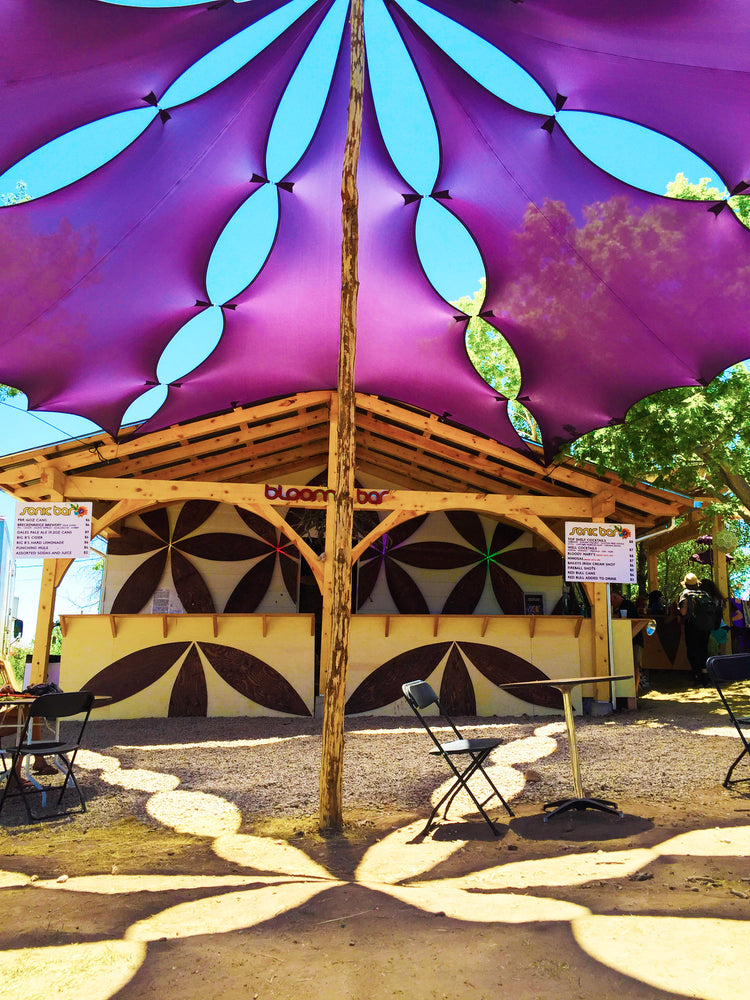 SALE PRICE Straight shooters Diamond - Purple