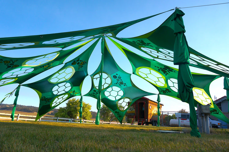 Turtle Panels - Pink Purple Torquoise