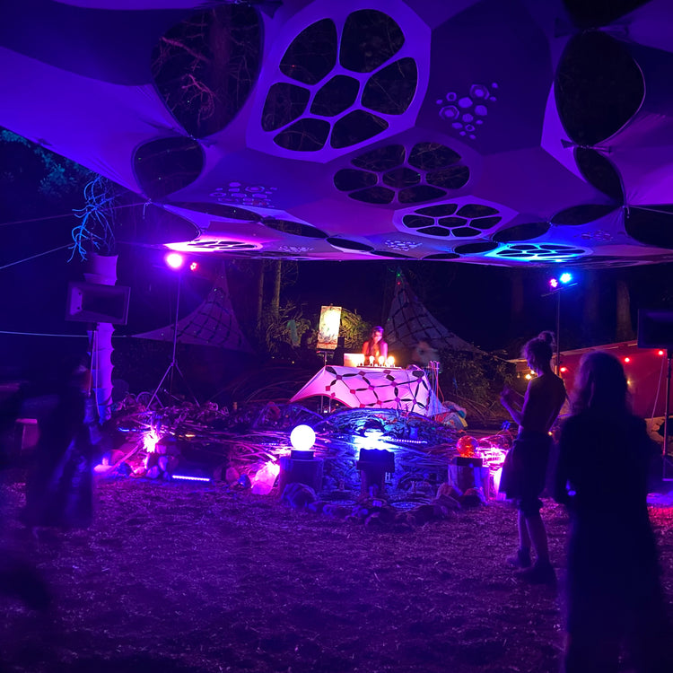 Turtle Panels - Pink Purple Torquoise