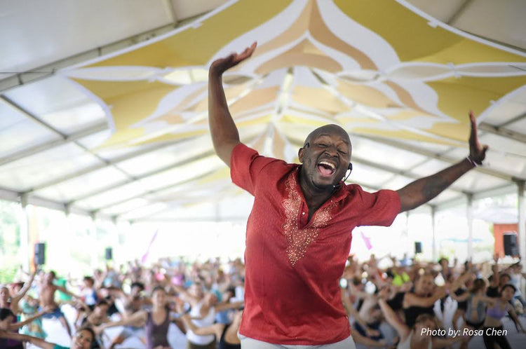 Lotus Panels (large) - Pink Purple